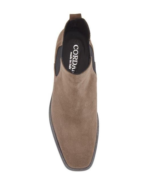 Cordani Brown Bromley Chelsea Boot