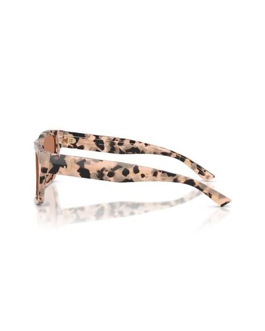 Jimmy Choo Brown 54Mm Rectangular Sunglasses