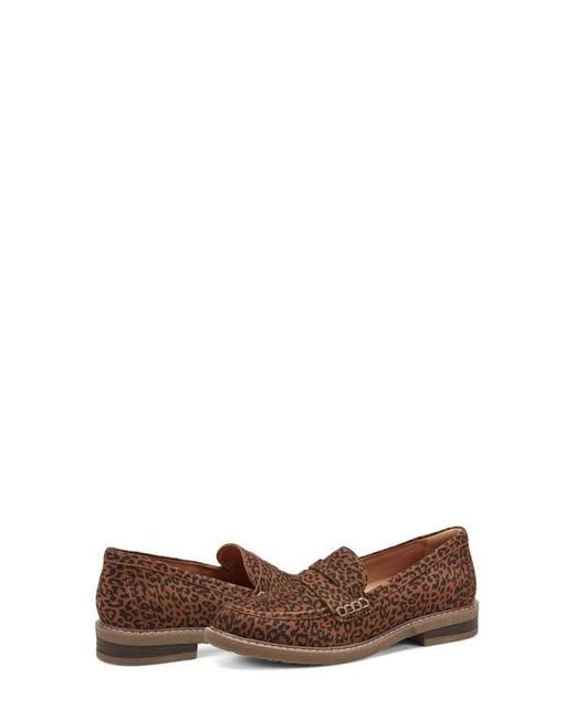Earth Brown Javas Penny Loafer