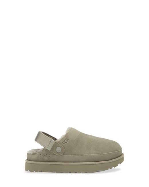 Ugg Gray Goldenstar Cozy Clog