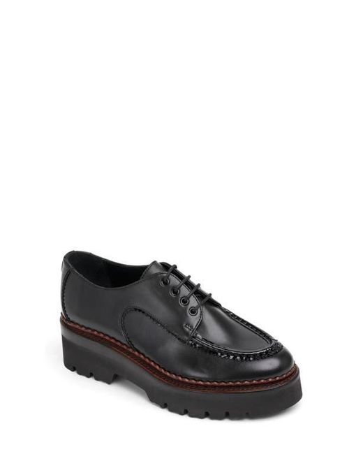 The Office Of Angela Scott Mr Teddy Platform Derby In Black Lyst