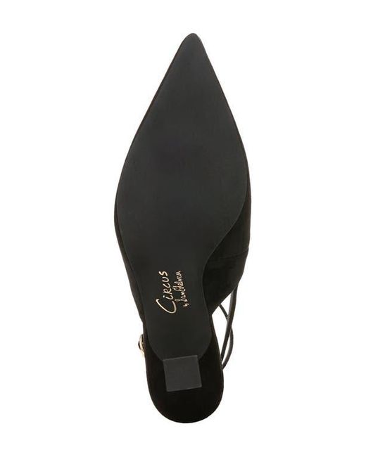 Circus by Sam Edelman Black Tara Slingback Pump