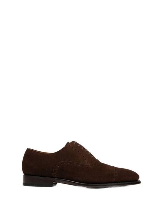 Anthony Veer Brown Windsor Brogue for men