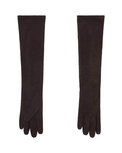 Mango Black Selection Suede Opera Gloves