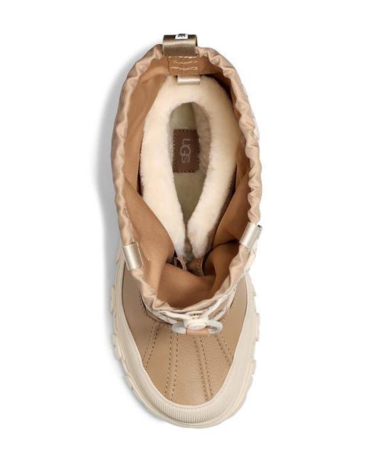 Ugg Natural Metropeak Water Repellent Insulated Boot