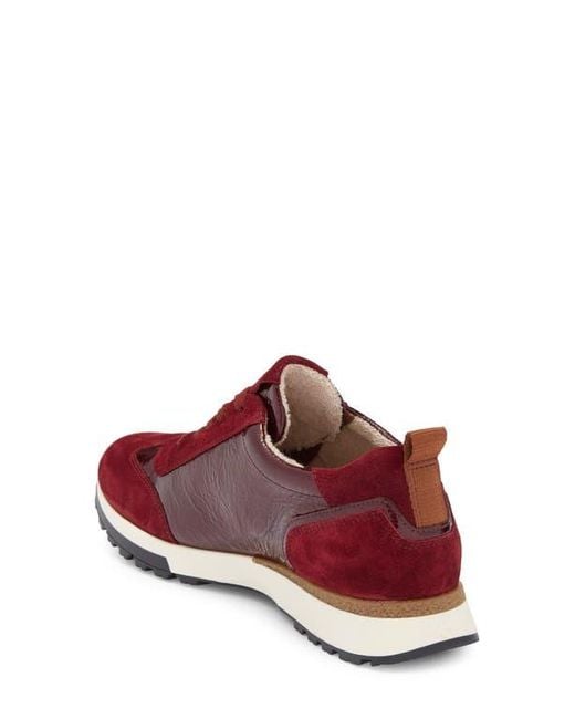 Paul Green Red Carrie Sneaker