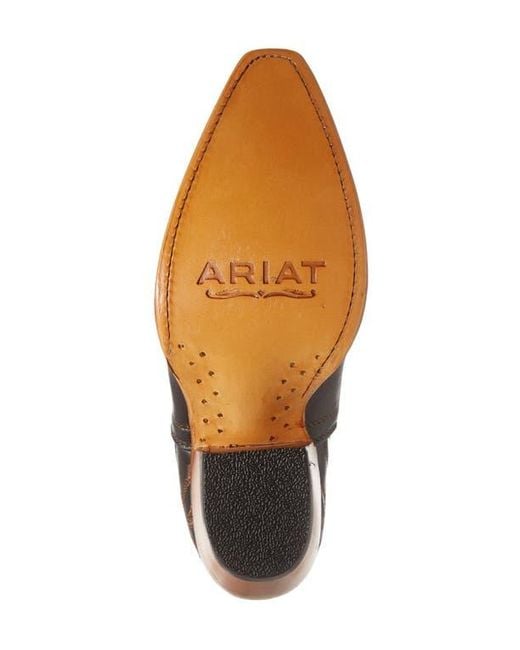 Ariat Brown Dixon Bootie