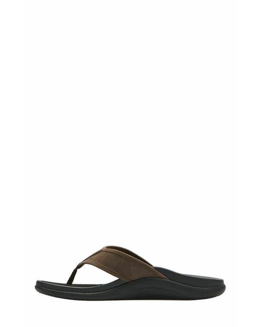 ABEO Brown Laguna Sandal