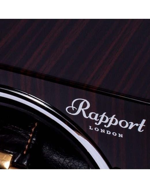 Rapport Blue Evolution Single Watch Winder