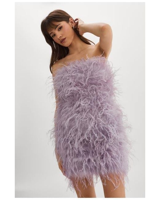 Lamarque Purple Triana