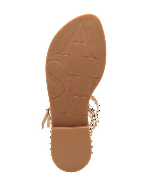 Ash Pink Play 2 Gladiator Sandal