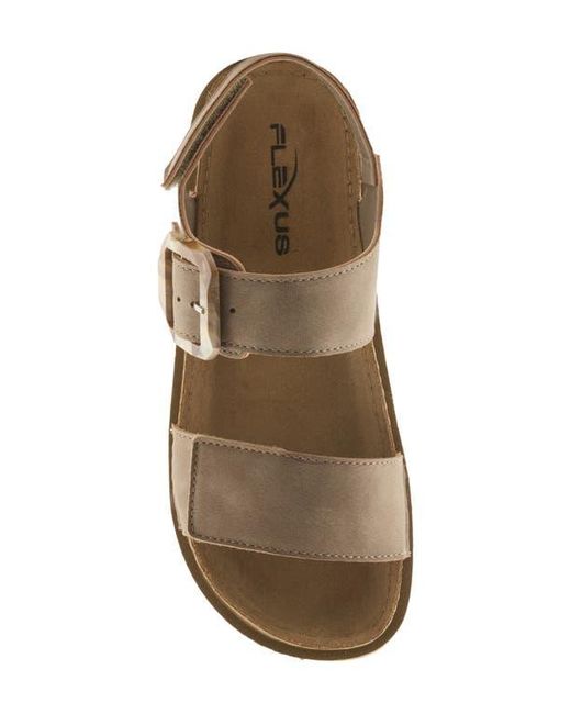 Flexus by Spring Step Brown Bravies Ankle Strap Sandal
