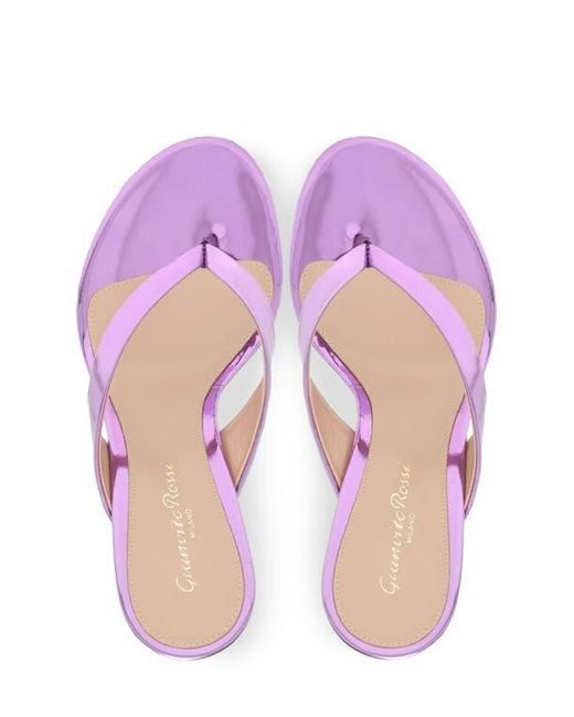 Gianvito Rossi Pink Sofia Thong