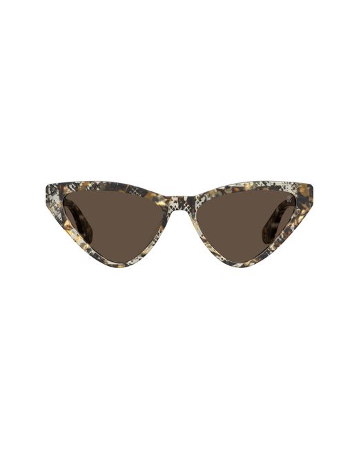 Stuart Weitzman Brown 55Mm Cat Eye Sunglasses