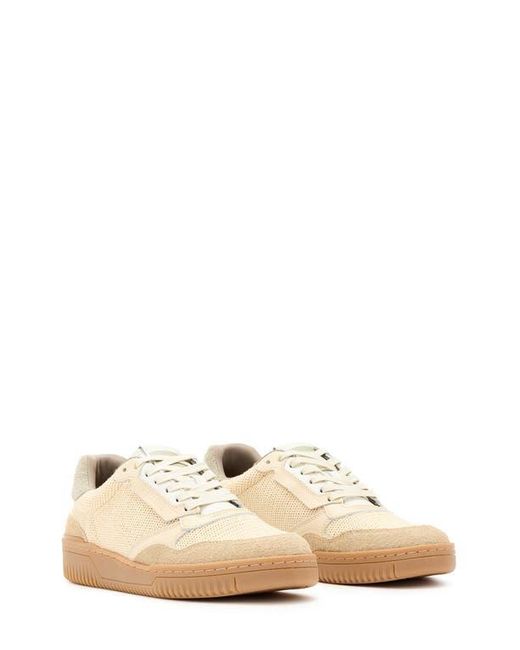 AllSaints Natural Regan Mesh Low Top Sneaker for men