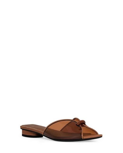 Rebecca Minkoff Brown Paris Jelly Pointed Toe Slide Sandal