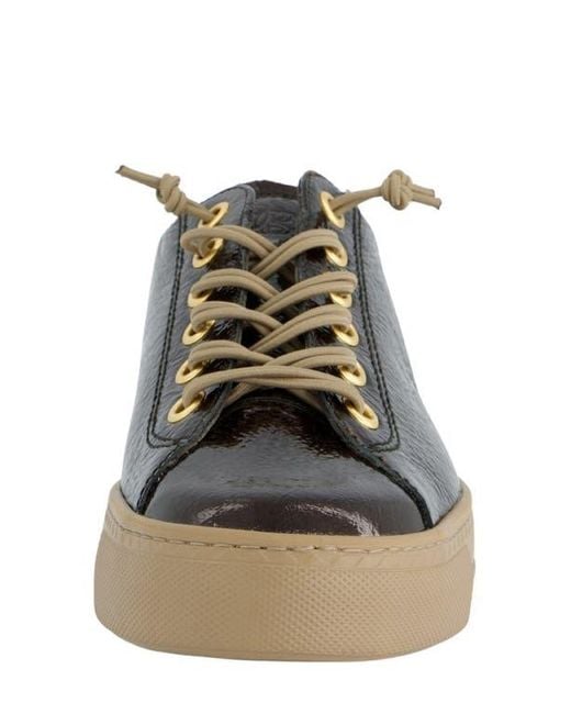 Paul Green Black Hadley Platform Sneaker