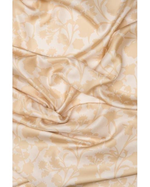 Elizabetta Natural Regina