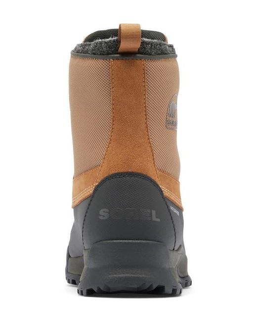 Sorel Brown Buxton Lite Waterproof Boot for men