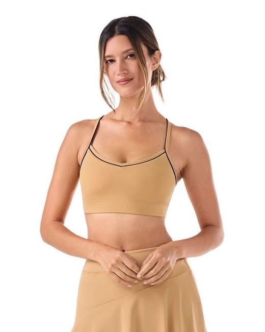 Tavi Brown Bliss Bra