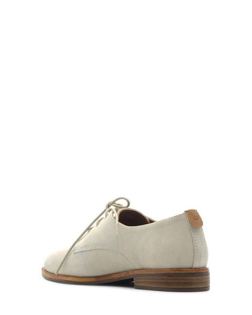 Gentle Souls Multicolor Aronson Derby