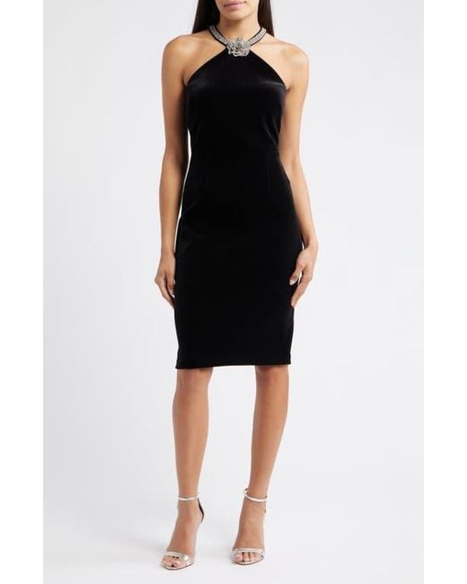 Eliza J Crystal Flower Halter Neck Velvet Cocktail Dress in Black | Lyst Eliza J Crystal Flower Halter Neck Velvet Cocktail Dress in Black | Lyst