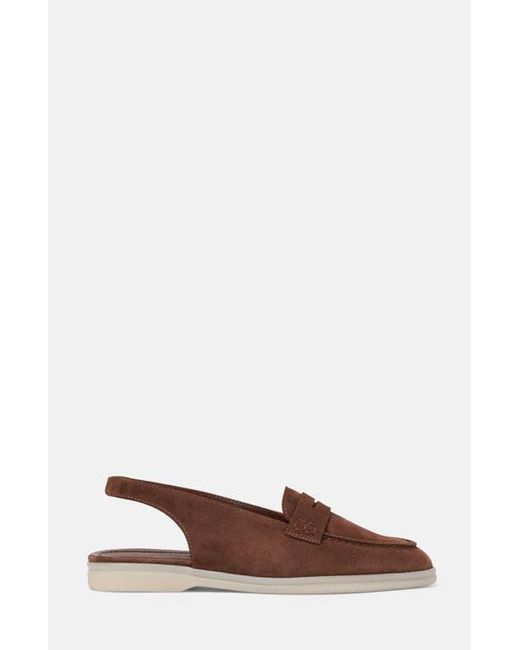 Scarosso Brown Leila Loafers