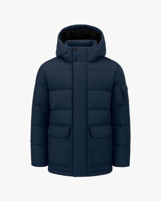 Quartz Co. Blue Alexander for men