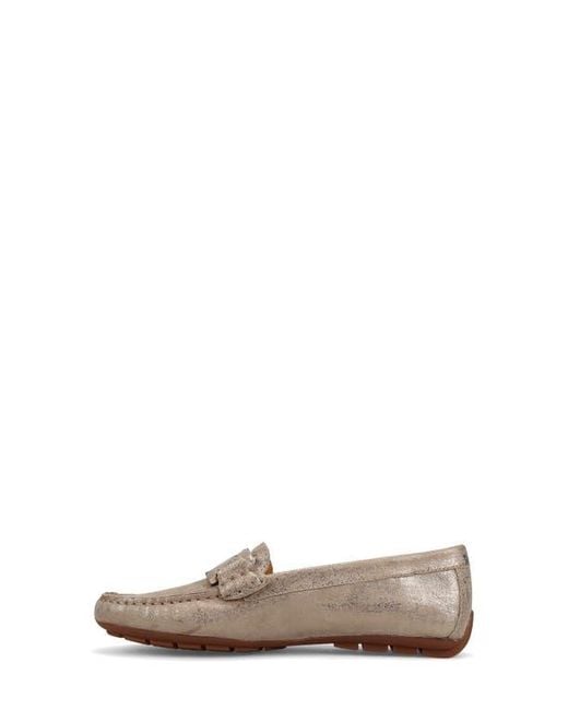 Vaneli Brown Aiker Driving Loafer