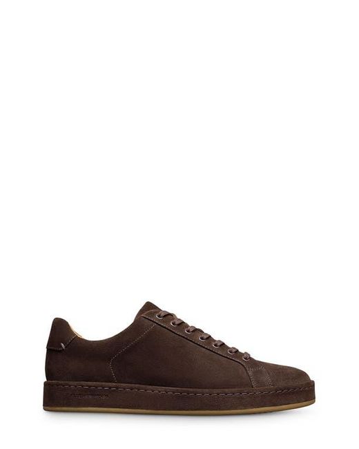 Allen Edmonds Brown Barnes Low Top Sneaker for men