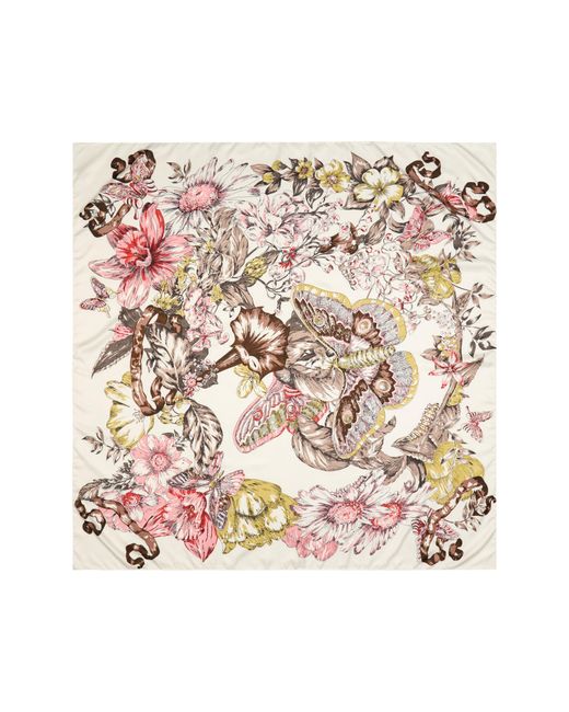 Tasha White Butterfly Floral Print Scarf