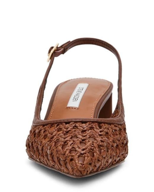 Steve Madden Brown Robyn Pointed Toe Slingback Pump