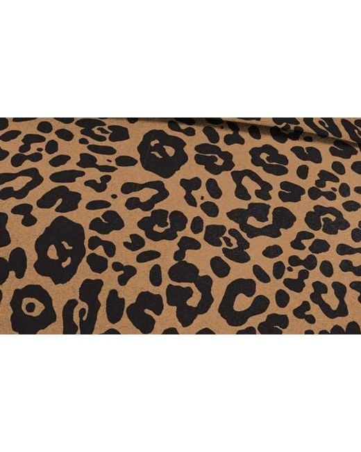 Shedrain Brown Auto Open Compact Umbrella