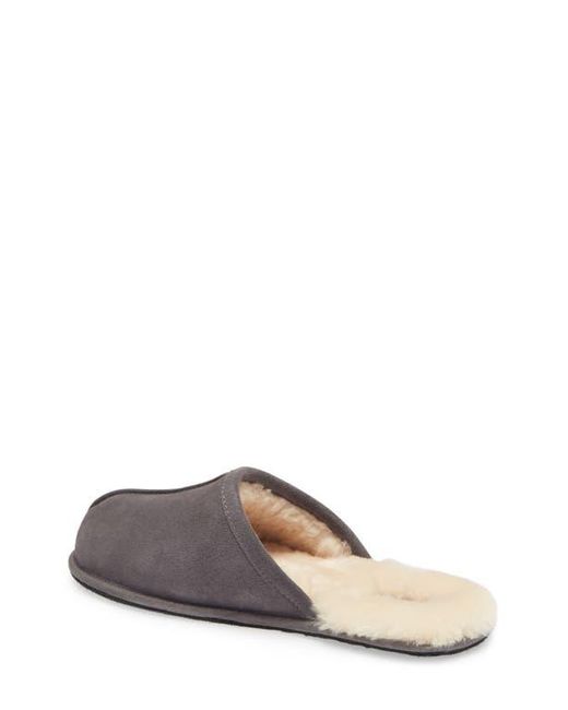 Ugg Gray Scuff Slipper for men