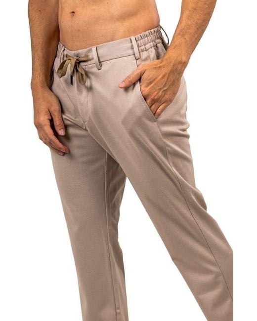 Maceoo Brown Ascension Drawstring Pants for men