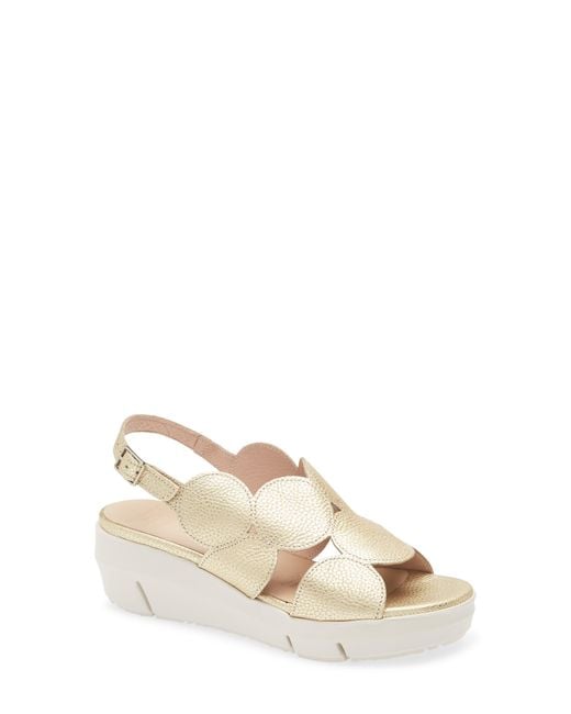 Wonders Natural Platform Sandal