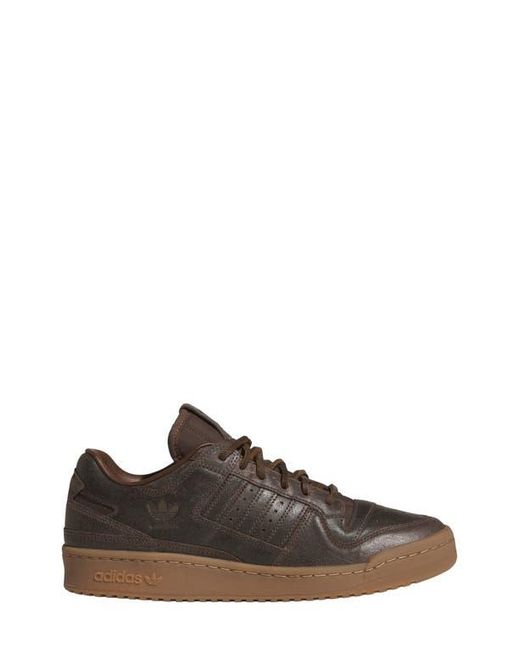 Adidas Brown Forum 84 Low Cl Sneaker for men