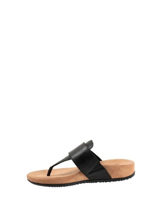 Softwalk® Black Belize T-Strap Sandal