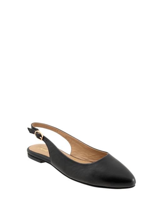 Trotters Black Evelyn Pointed Toe Slingback Flat - Multiple Widths Available