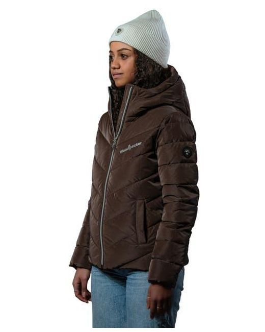 Woodpecker Brown Robin Medium Weight Coat