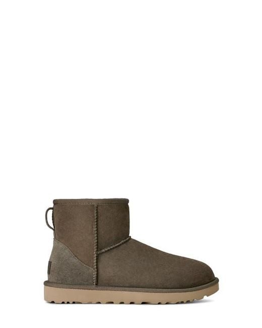 Ugg Brown Ugg Classic Mini Ii Genuine Shearling Lined Boot