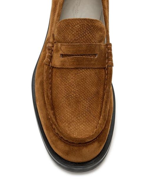 AllSaints Bloom Penny Loafer in Brown for Men | Lyst