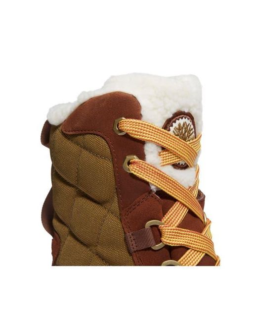 Timberland Brown Ledge Waterproof Snow Boot