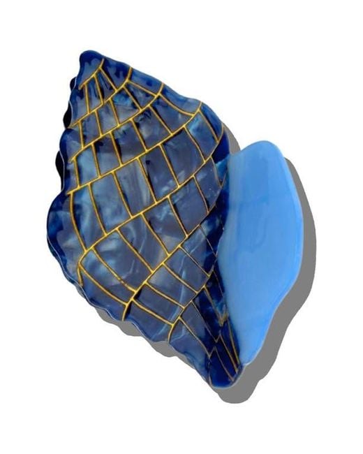 Solar Eclipse Blue Tulip Conch Shell Hair Claw Clip