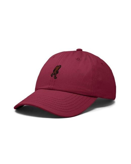 Alix Sasquatch Embroidered Dad Hat for men