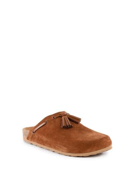 Seychelles Brown Windswept Tassel Clog