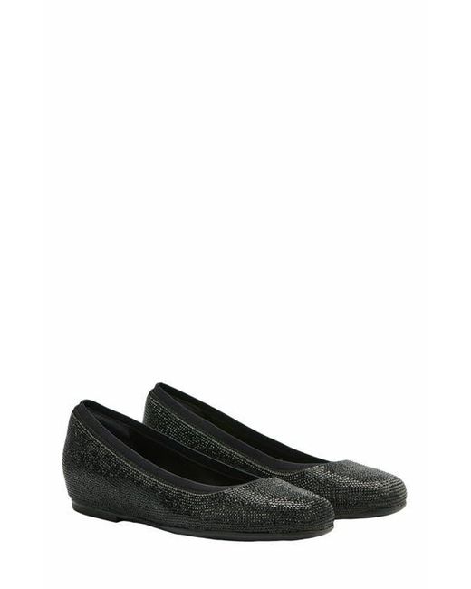 ABEO Black Cadence Ballet Flat