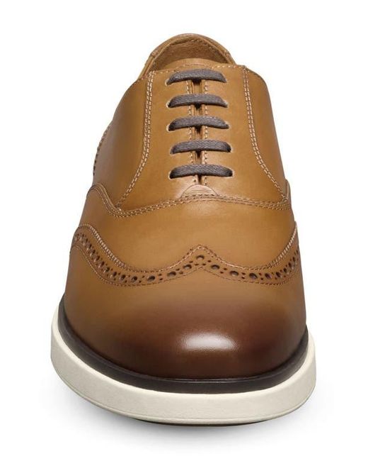 Allen Edmonds Brown Carson Hybrid Wingtip Oxford for men