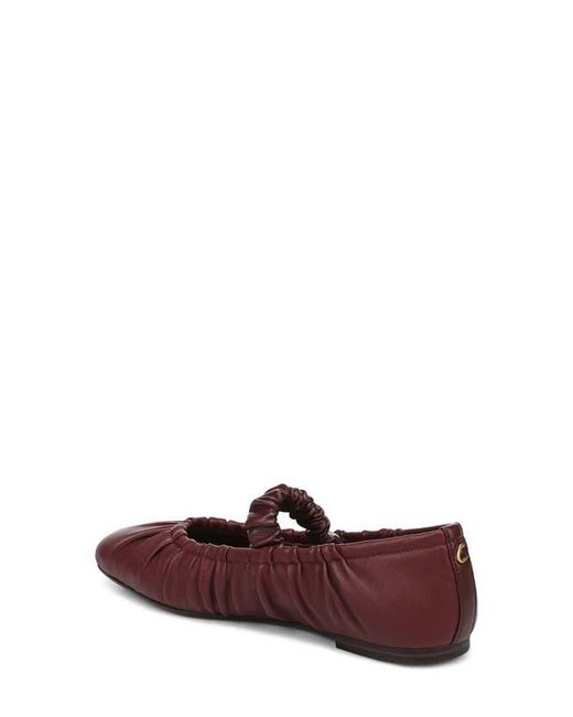 Circus by Sam Edelman Red Blythe Flat