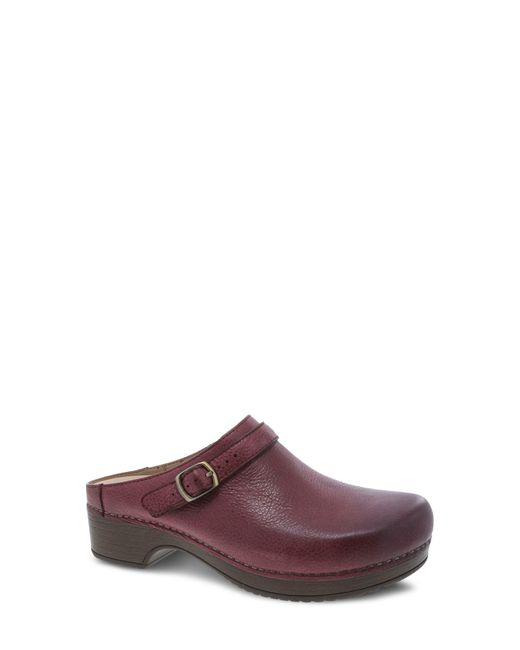 dansko berry clog